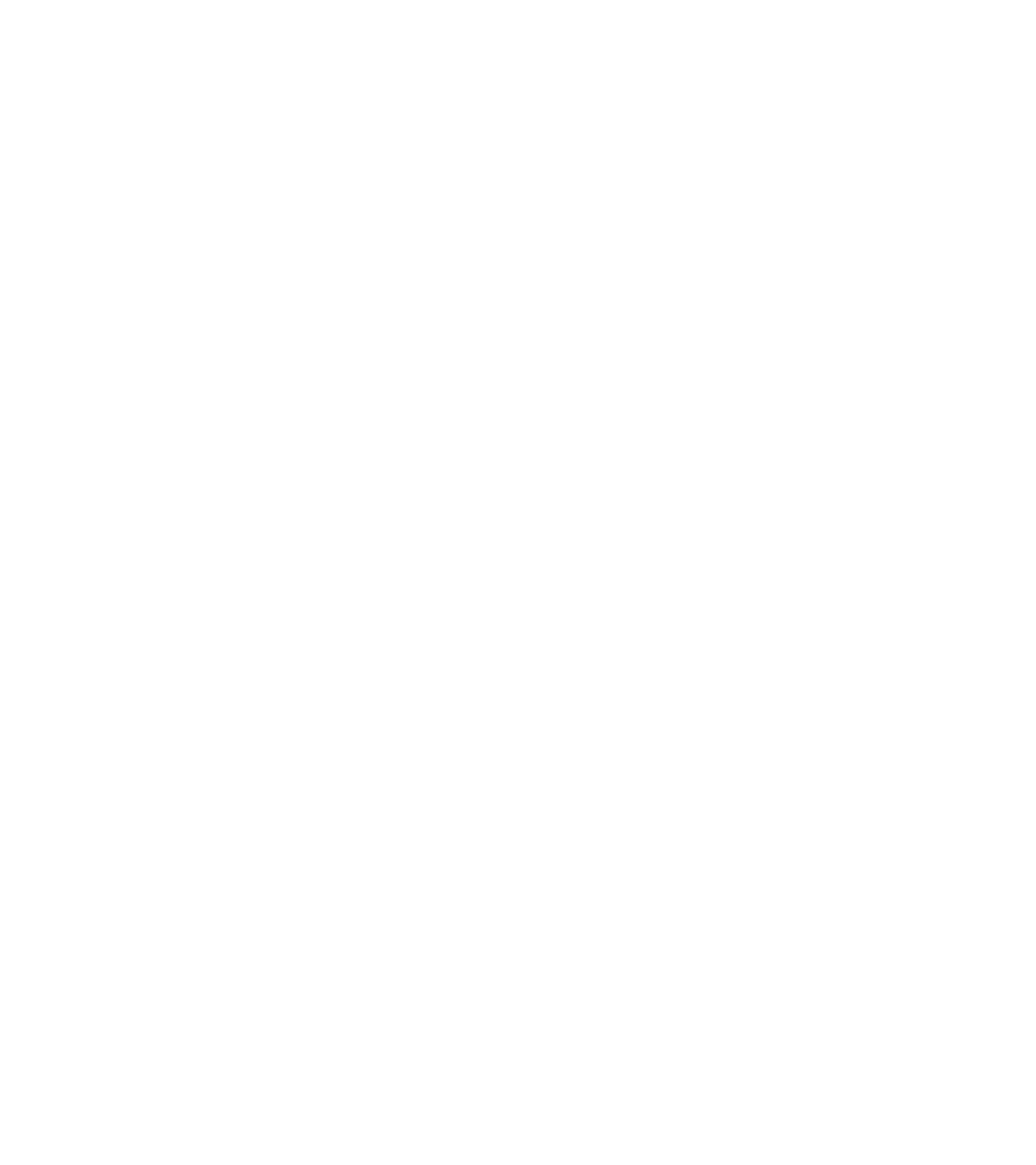 logotipo tizayuca